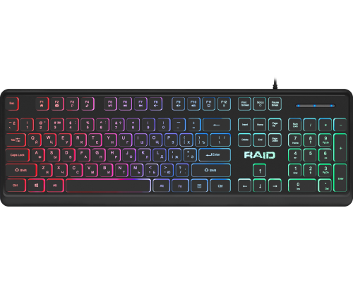 Клавиатура Defender Raid GK-778DL RU, Rainbow, RGB подсветка символов и клавиш, рекгулировка яркости и выключения подсветки, USB, черный (45778)