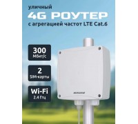 Маршрутизатор Wi-Fi  Microdrive NR-600 802.11n, до300Мбит/с, 3G/4G Cat.6 (LTE-A), 1 порт LAN, PoE, уличный